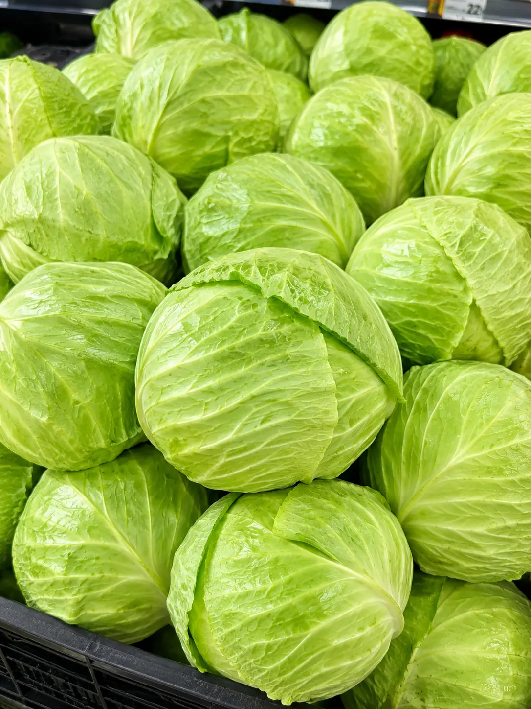 FRESH BANDA GHOBHI