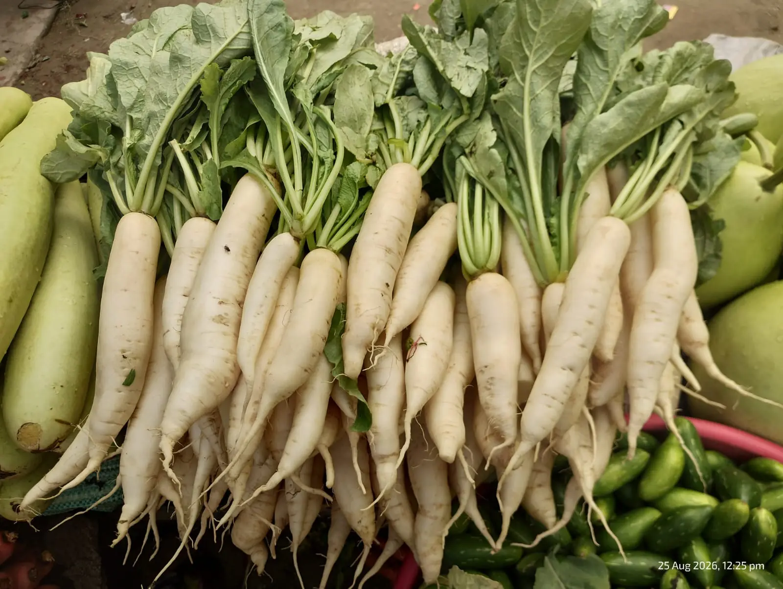 FRESH Mooli radish