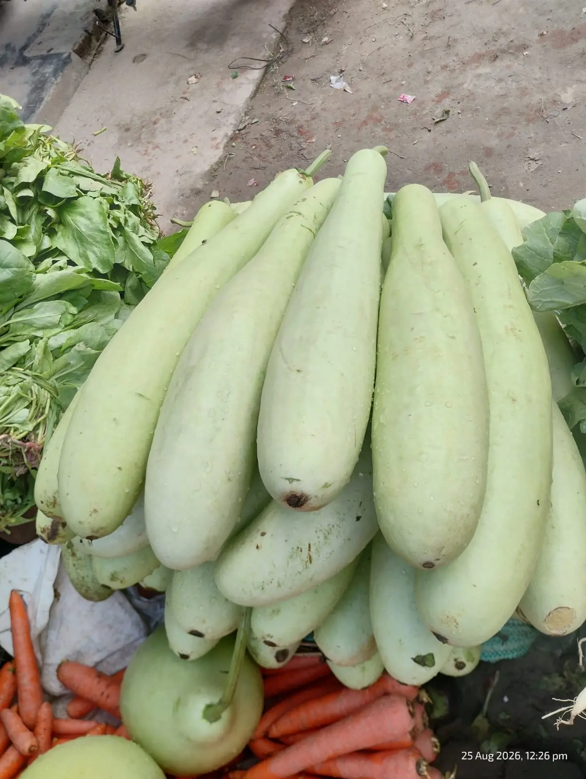 FRESH LAUKI