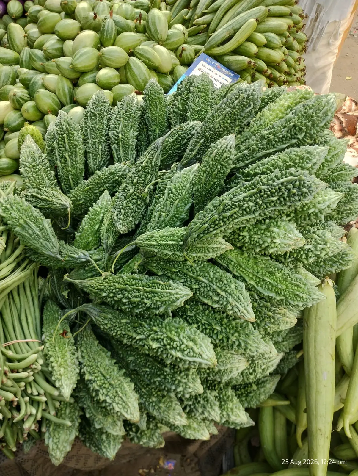 FRESH KARELA bitter gourd