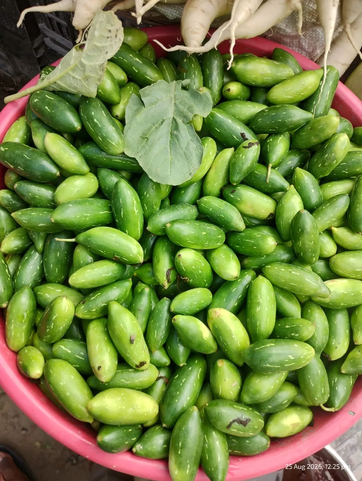 FRESH KUNRI