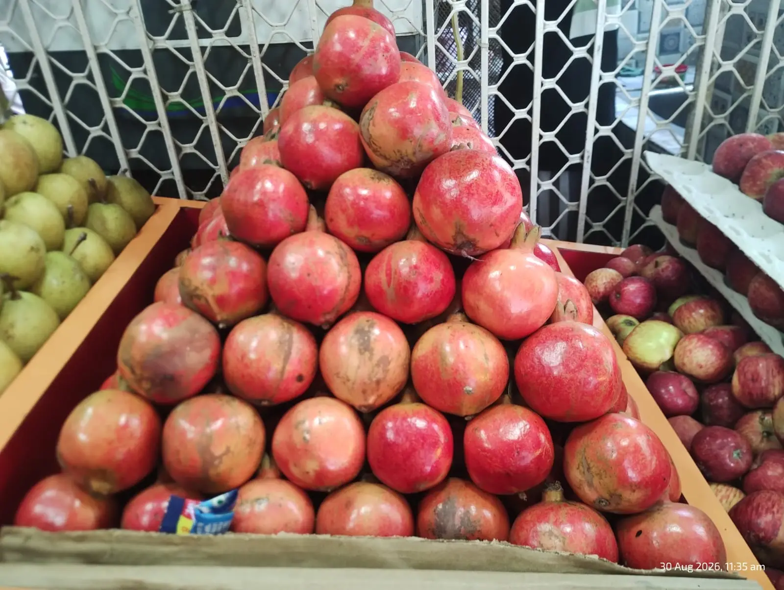 ANAR
