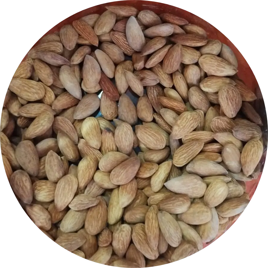 Almonds (Badam) 250g | Premium Crunchy Badam | High Protein Healthy Dry Fruit | ONO BITES