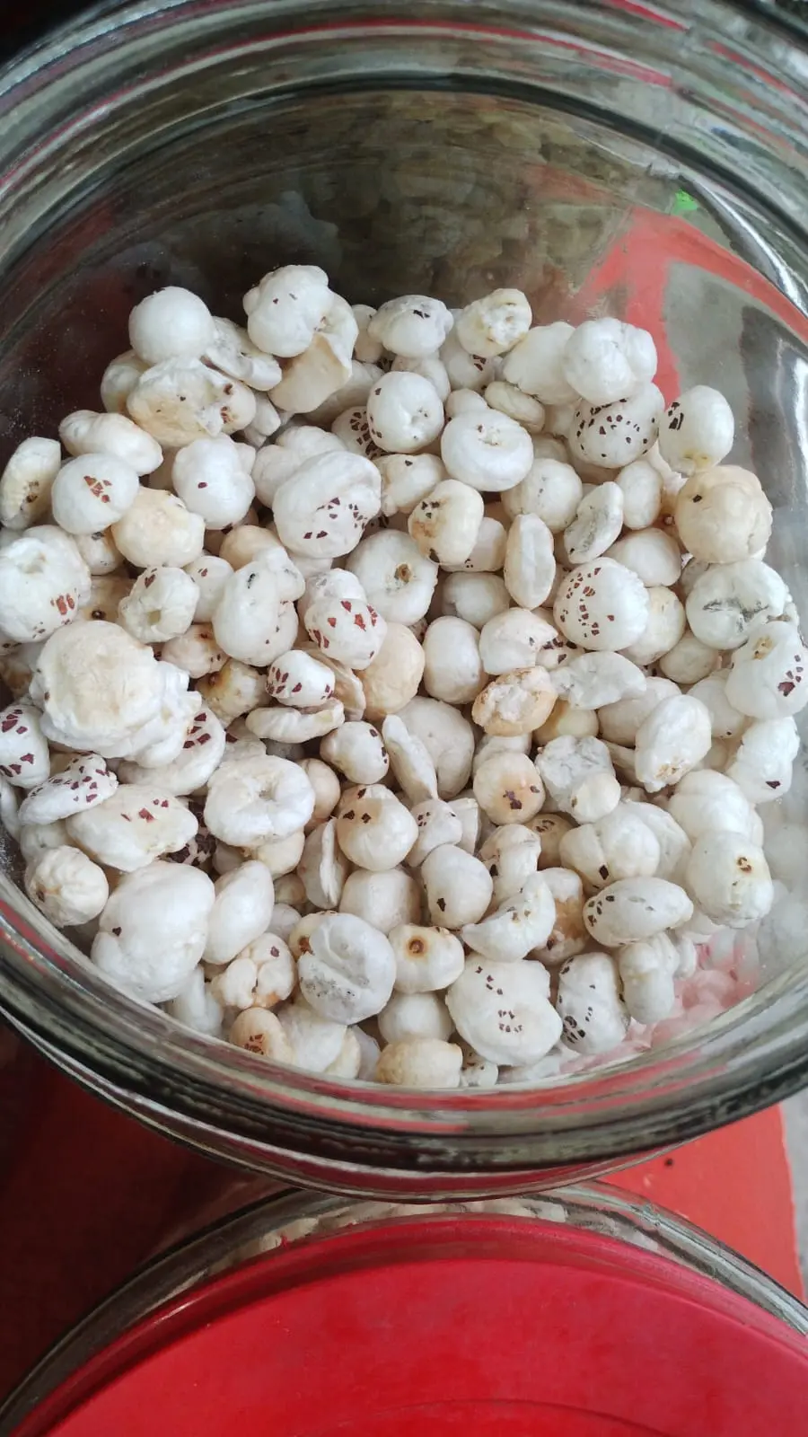 MAKHANA